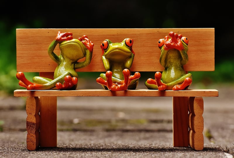 Fitness Bench